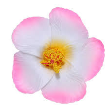 Viral Flower Hair Pin