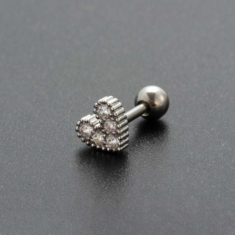 Stainless Steel Piercing Earrings