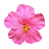 Viral Flower Hair Pin