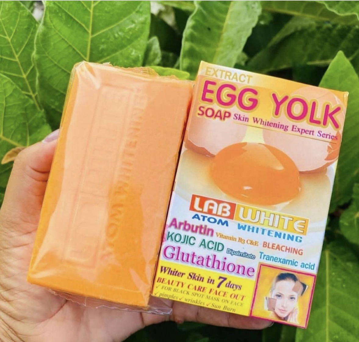 eggs glutathione Xymogen S-Acetyl Glutathione Capsules – Alive and Well Shop