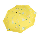 Fruit Print Folding Umbrella