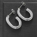 Patrice Mini Hook Earrings