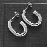 Patrice Mini Hook Earrings