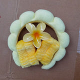 Plumeria Spa Head Band & Claw Clip Set