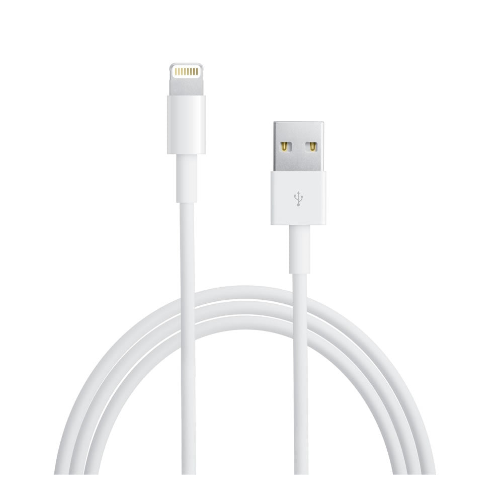 iPhone Charger Cord (in box)